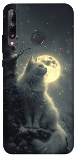 Чехол на Huawei P40 Lite E Кот под луной фото 1 из 1