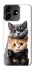 Чехол на ZTE Blade V50 Design 4G Красивые котики фото 1 из 1