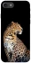 Чохол на Apple iPhone 7 / 8 (4.7") Leopard v2 фото 1 з 1