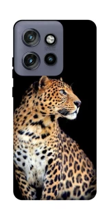 Чохол на Motorola Edge 50 Neo Leopard v2 фото 1 з 1