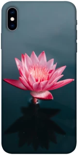 Чехол на Apple iPhone X (5.8") Лотос фото 1 из 1