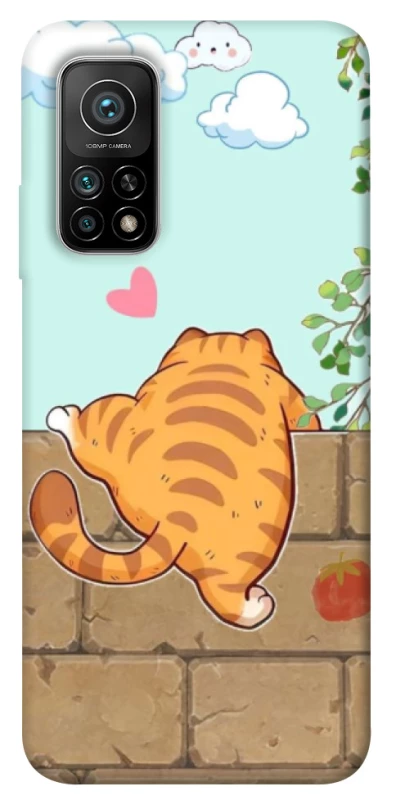 Чохол на Xiaomi Mi 10T Cat the meow фото 1 з 1