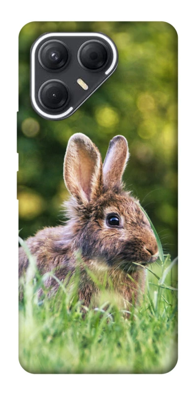 Чехол на TECNO Pova 7 Кролики фото 1 из 1