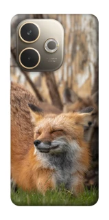 Чехол на Oppo A5 Pro 4G Лиса фото 1 из 1