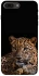 Чехол на Apple iPhone 7 plus / 8 plus Leopard v4 фото 1 из 1