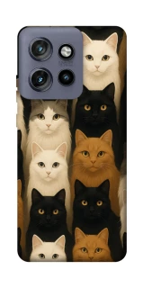Чехол на Motorola Edge 50 Neo Colorful Cat Collage фото 1 Чехол на Motorola Edge 50 Neo Colorful Cat Collage фото 1 из 1