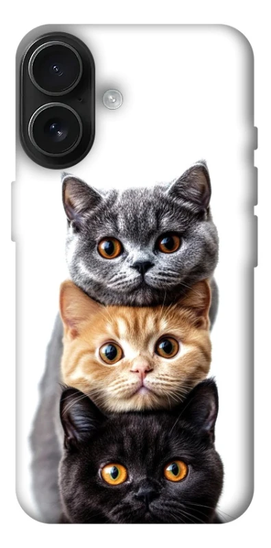 Чохол на Apple iPhone 17 (6.3") Гарні котики фото 1 з 1