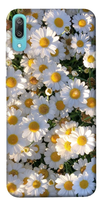 Чохол на Huawei Y6 Pro (2019) Поле ромашок фото 1 з 1