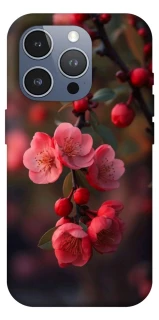 Чохол на Apple iPhone 16 Pro Max Flowers v28 фото 1 з 1