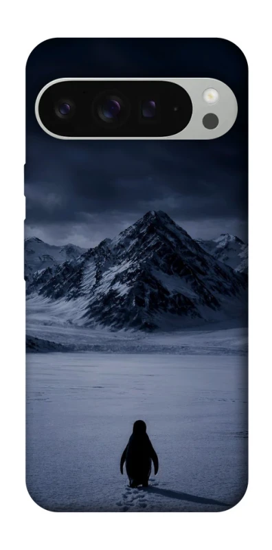 Чехол на Google Pixel 9 Pro XL But why? фото 1 из 1