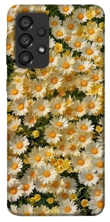 Чехол на Samsung Galaxy A33 5G Camomile фото 1 из 1