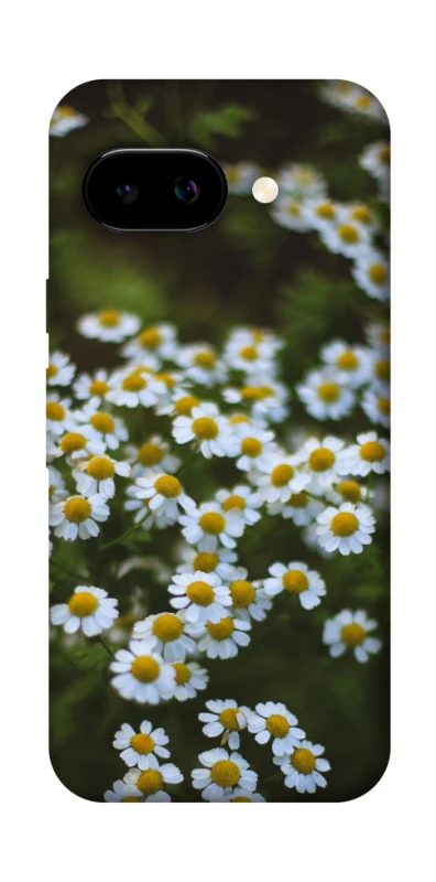 Чохол на Google Pixel 9a Ромашки v13 фото 1 з 1