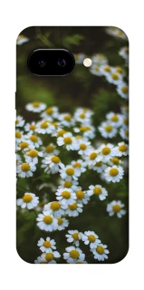 Чехол на Google Pixel 9a Ромашки v13 фото 1 из 1