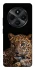 Чохол на Xiaomi Poco M7 Leopard v4 фото 1 з 1