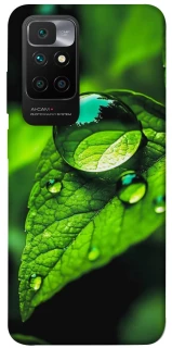 Чохол на Xiaomi Redmi 10 Flowers v16 фото 1 з 1