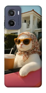 Чохол на Motorola Moto E15 Stylish Cat Cruise фото 1 з 1