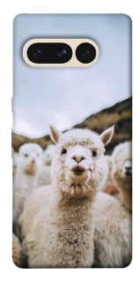 Чохол на Google Pixel 7 Pro Лама фото 1 з 1