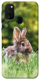 Чехол на Samsung Galaxy M30s / M21 Кролики фото 1 из 1