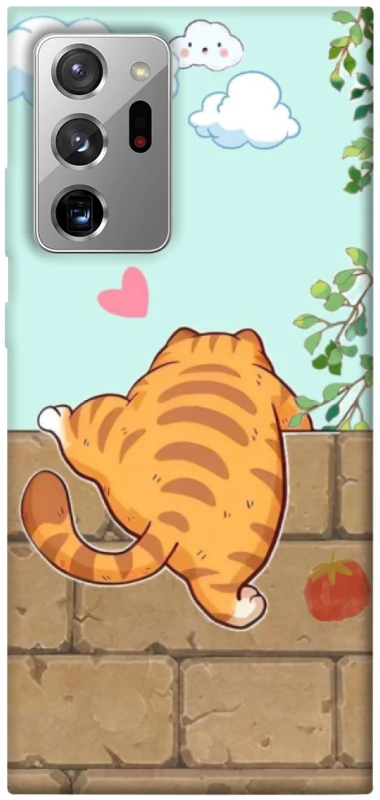 Чохол на Samsung Galaxy Note 20 Ultra Cat the meow фото 1 з 1