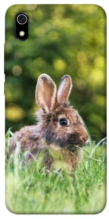 Чехол на Xiaomi Redmi 7A Кролики фото 1 из 1