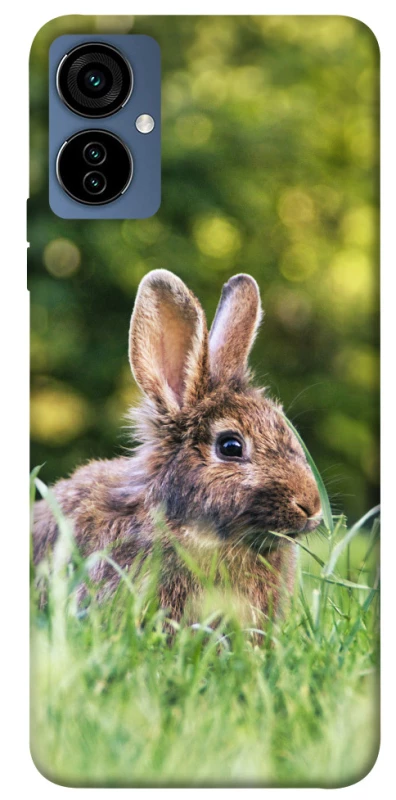 Чехол на TECNO Camon 19 Neo Кролики фото 1 из 1