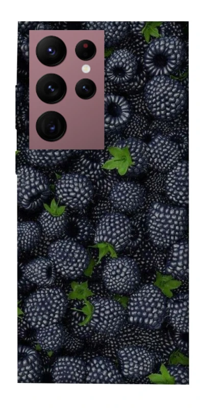 Чохол на Samsung Galaxy S22 Ultra Fresh фото 1 з 1