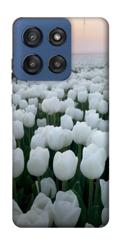 Чехол на Motorola Edge 60 Stylus Flowers v1 фото 1 Чехол на Motorola Edge 60 Stylus Flowers v1 фото 1 из 1