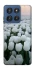 Чехол на Motorola Edge 60 Stylus Flowers v1 фото 1 Чехол на Motorola Edge 60 Stylus Flowers v1 фото 1 из 1