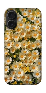 Чехол на Apple iPhone 16 Camomile фото 1 из 1