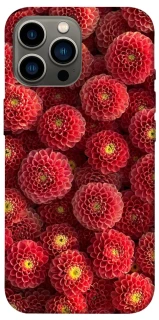 Чохол на Apple iPhone 13 Pro Max (6.7") Midnight1 фото 1 з 1