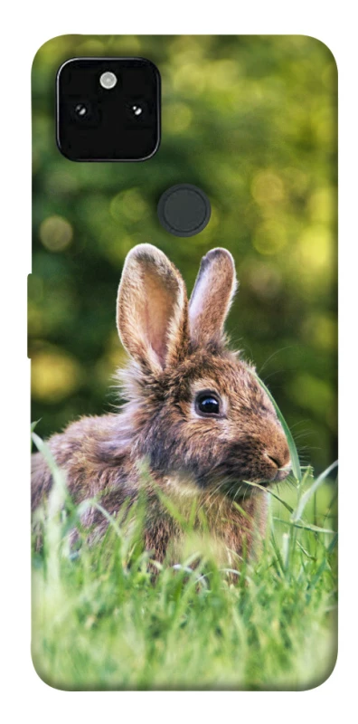 Чехол на Google Pixel 5A Кролики фото 1 из 1
