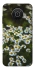 Чехол на Nokia X10 / X20 Ромашки v13 фото 1 из 1