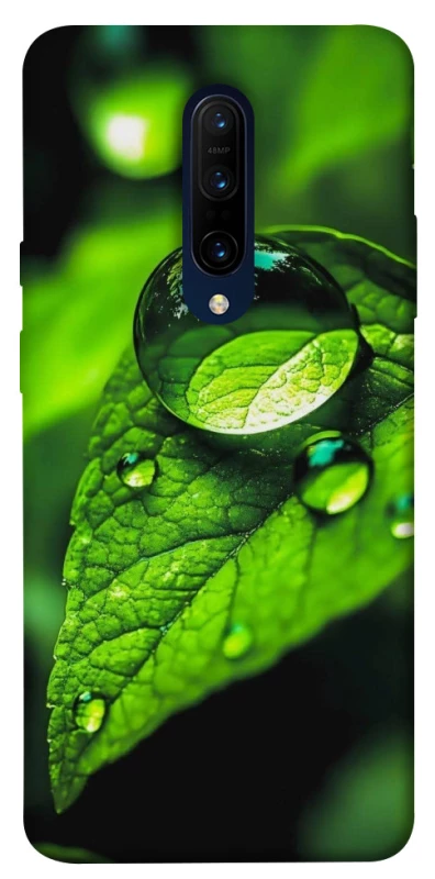 Чохол на OnePlus 7 Pro Flowers v16 фото 1 з 1