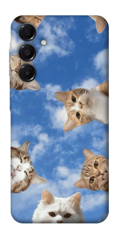 Чохол на Samsung Galaxy A16 4G/5G Сats фото 1 з 1