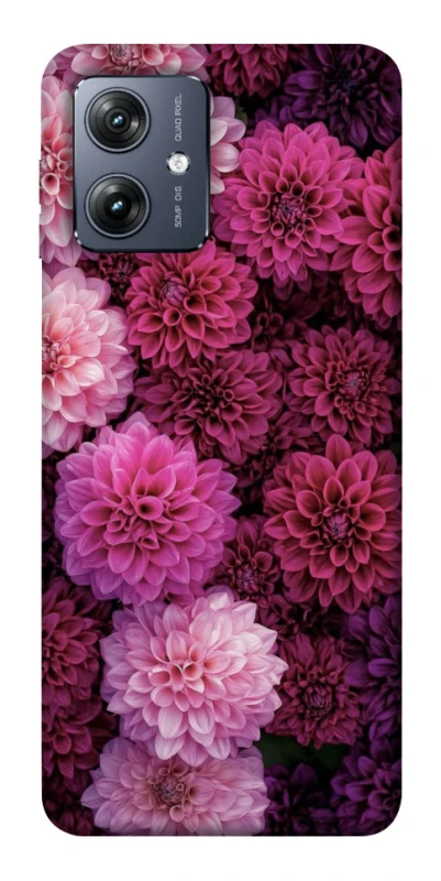 Чохол на Motorola Moto G54 Garden1 фото 1 з 1