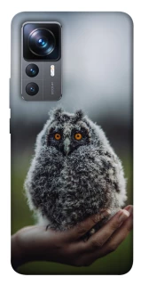 Чохол на Xiaomi 12T / 12T Pro Совеня фото 1 з 1