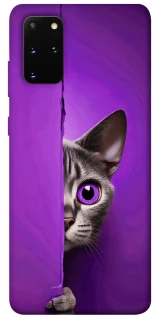 Чохол на Samsung Galaxy S20+ Кіт-підглядач фото 1 з 1