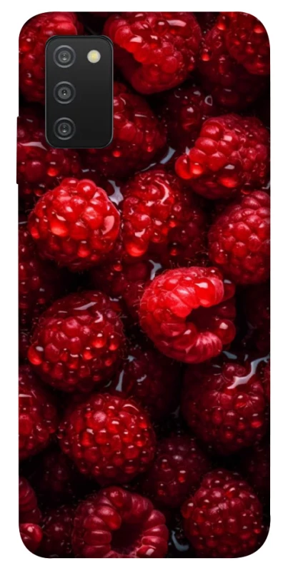 Чехол на Samsung Galaxy A03s Малинка фото 1 из 1