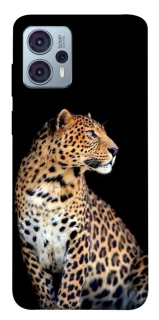 Чохол на Motorola Moto G23 Leopard v2 фото 1 Чохол на Motorola Moto G23 Leopard v2 фото 1 з 1