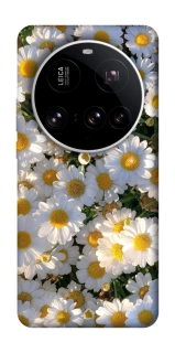 Чехол на Xiaomi 15 Ultra Поле ромашек фото 1 из 1