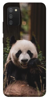 Чехол на Samsung Galaxy A02s Панда фото 1 из 1