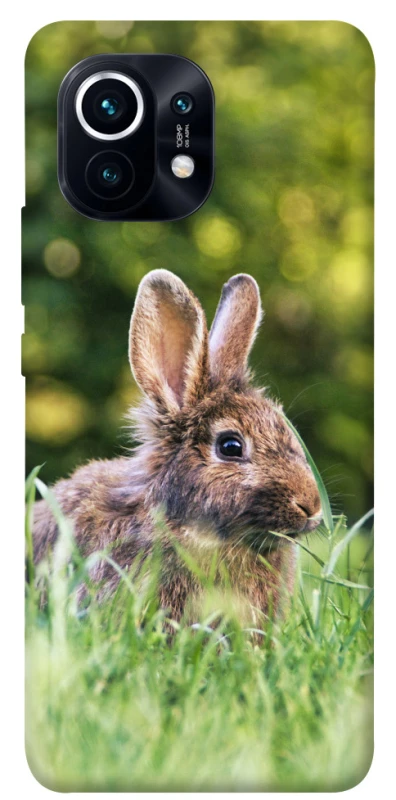Чохол на Xiaomi Mi 11 Кролики фото 1 з 1