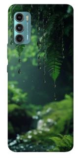Чехол на Motorola Moto G60 rain forest фото 1 из 1