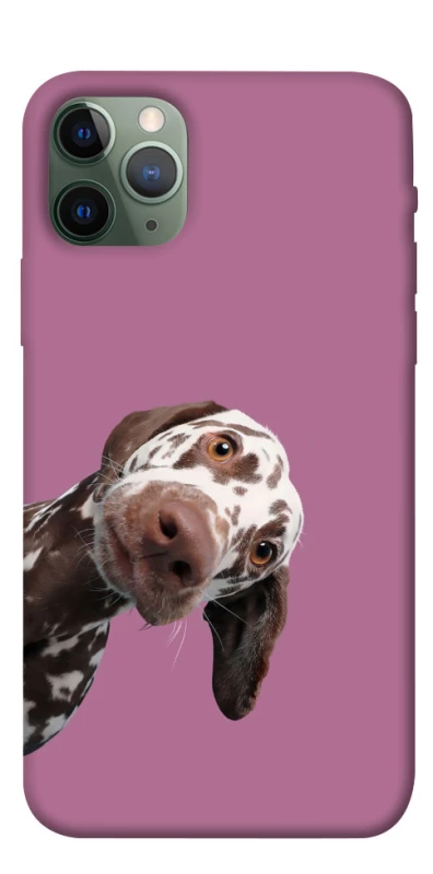 Чехол на Apple iPhone 11 Pro (5.8") А что тут фото 1 из 1