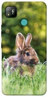 Чехол на TECNO POP 4 Кролики фото 1 из 1