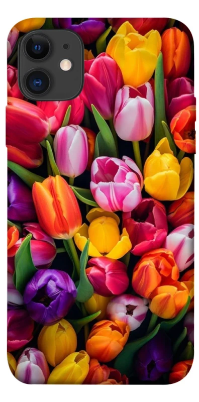 Чохол на Apple iPhone 11 (6.1") Flowers v30 фото 1 з 1