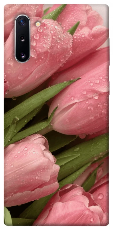 Чохол на Samsung Galaxy Note 10 Beauty фото 1 з 1