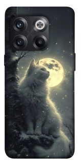 Чехол на OnePlus 10T Кот под луной фото 1 из 1