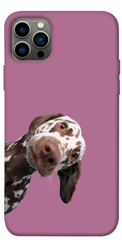 Чехол на Apple iPhone 12 Pro (6.1") А что тут фото 1 из 1