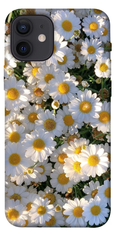 Чохол на Apple iPhone 12 (6.1") Поле ромашок фото 1 з 1
